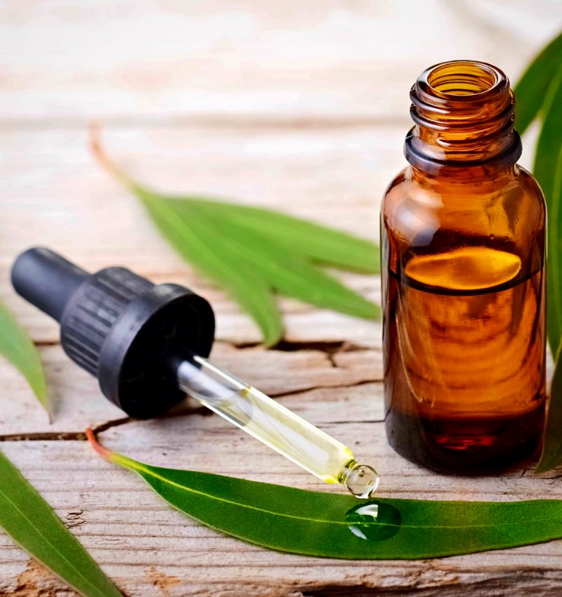 aceite de eucalipto para curar ampollas en los pies